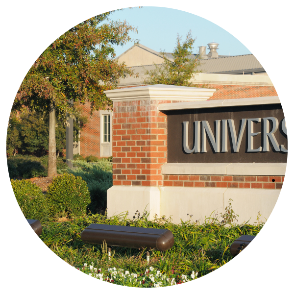 World-Class Universities